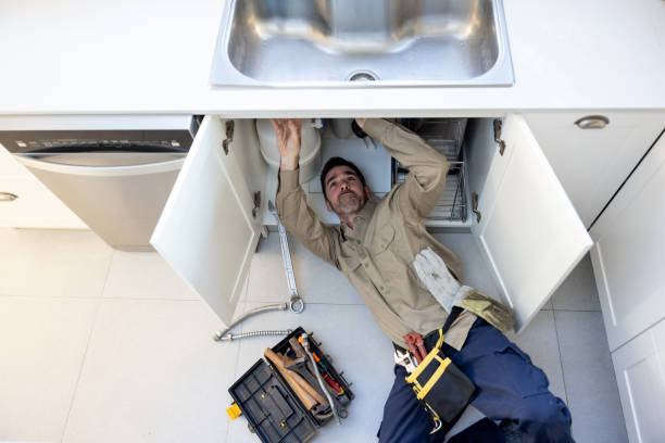 Best Emergency Plumbing Repair  in South Rockwood, MI