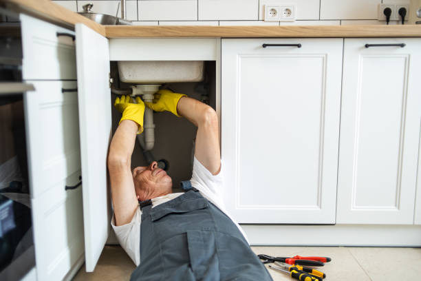  South Rockwood, MI Plumbing Pros