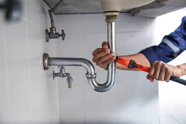 Best Leak Detection Services  in South Rockwood, MI