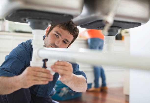 Best Plumbing Inspection Services  in South Rockwood, MI