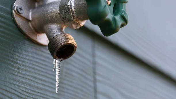 Best 24-Hour Plumber Near Me  in South Rockwood, MI