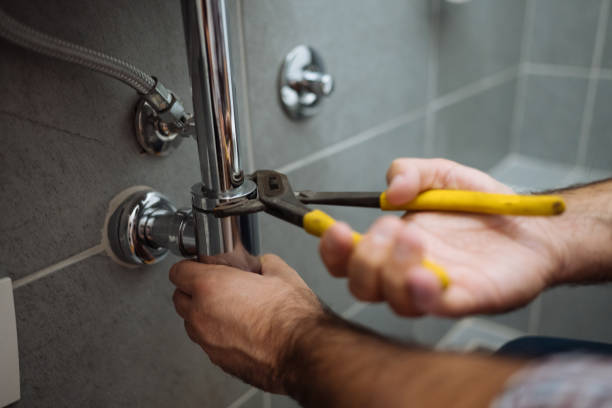 Best Plumbing Services Near Me  in South Rockwood, MI