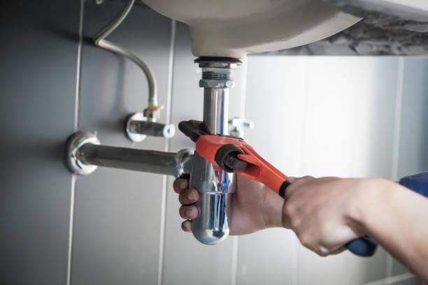 Best Drain Cleaning Services  in South Rockwood, MI