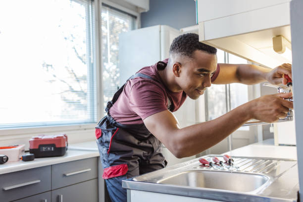 Best Same-Day Plumbing Service  in South Rockwood, MI