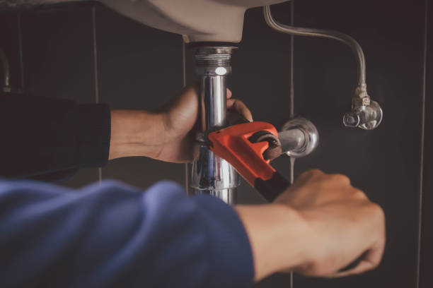 Best Shower Repair Services  in South Rockwood, MI