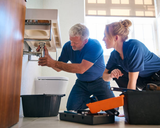 Best Plumbing Inspection Services  in South Rockwood, MI