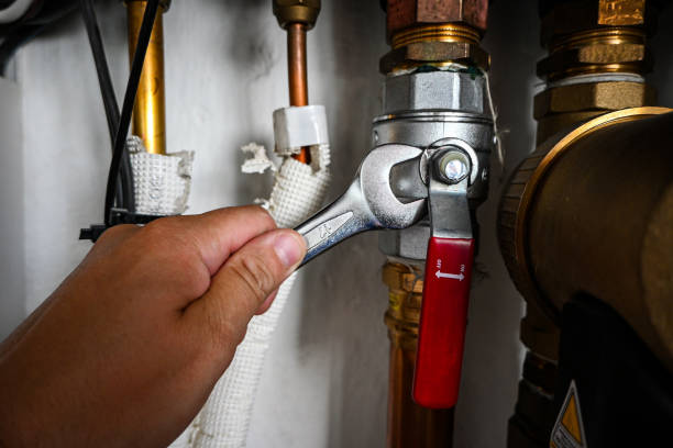 Best Water Softener Installation  in South Rockwood, MI